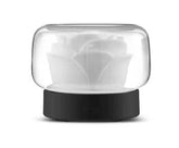 Ultrasonic air humidifier with LED lamp emitting mist in stylish home setting