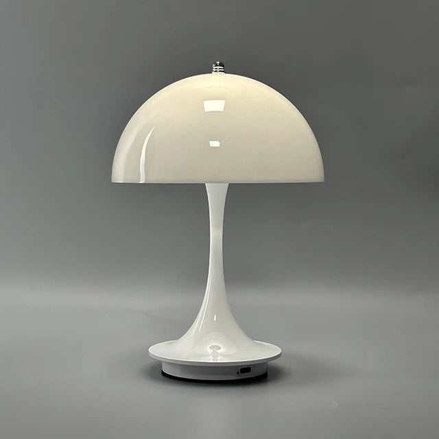 Portable rechargeable LED lamp with dimming and USB charging features