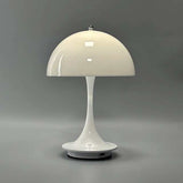 Portable rechargeable LED lamp with dimmable metal design and USB charging