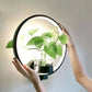 Modern wall plant LED lamp mounted on wall illuminating lush green plants