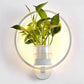 Modern wall plant LED lamp with greenery and soft LED lighting on white wall