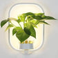 Modern wall plant LED lamp illuminating greenery on indoor wall decor