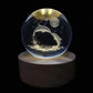 Crystal Night Ball, clear glass sphere with engraved leaping dolphins, stars and moon on a dark wood base