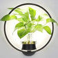 Modern wall plant LED lamp illuminating green indoor plants on white wall