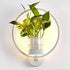 Wall Plant LED Lamp featuring a white circular frame with integrated LED lighting and a green potted plant holder at the center