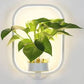 Wall Plant LED Lamp featuring a modern white frame with a clear plant holder and bright integrated LED backlight highlighting green leaves