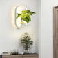 Wall Plant LED Lamp with white frame and integrated lighting holding a green leafy indoor plant mounted on a white wall